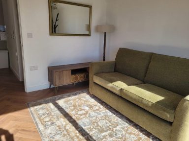 sun streams through glass patio doors onto a comfy green sofa. A rug adorns the floor, and a large golden framed mirror is on the wall