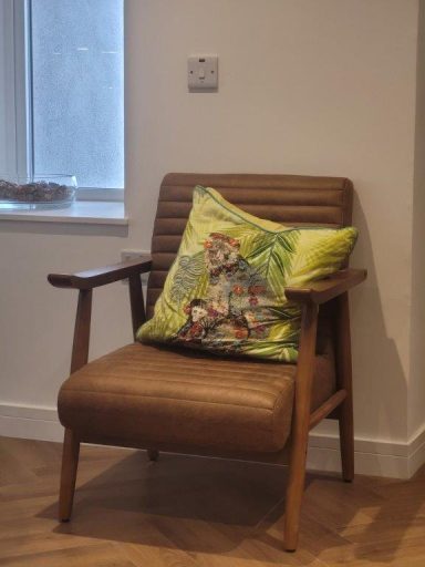 mid-century style chair with a cute monkey cushion.