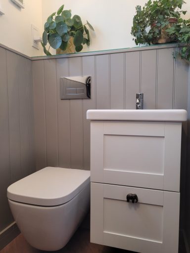 modern cottage bathroom with green plants